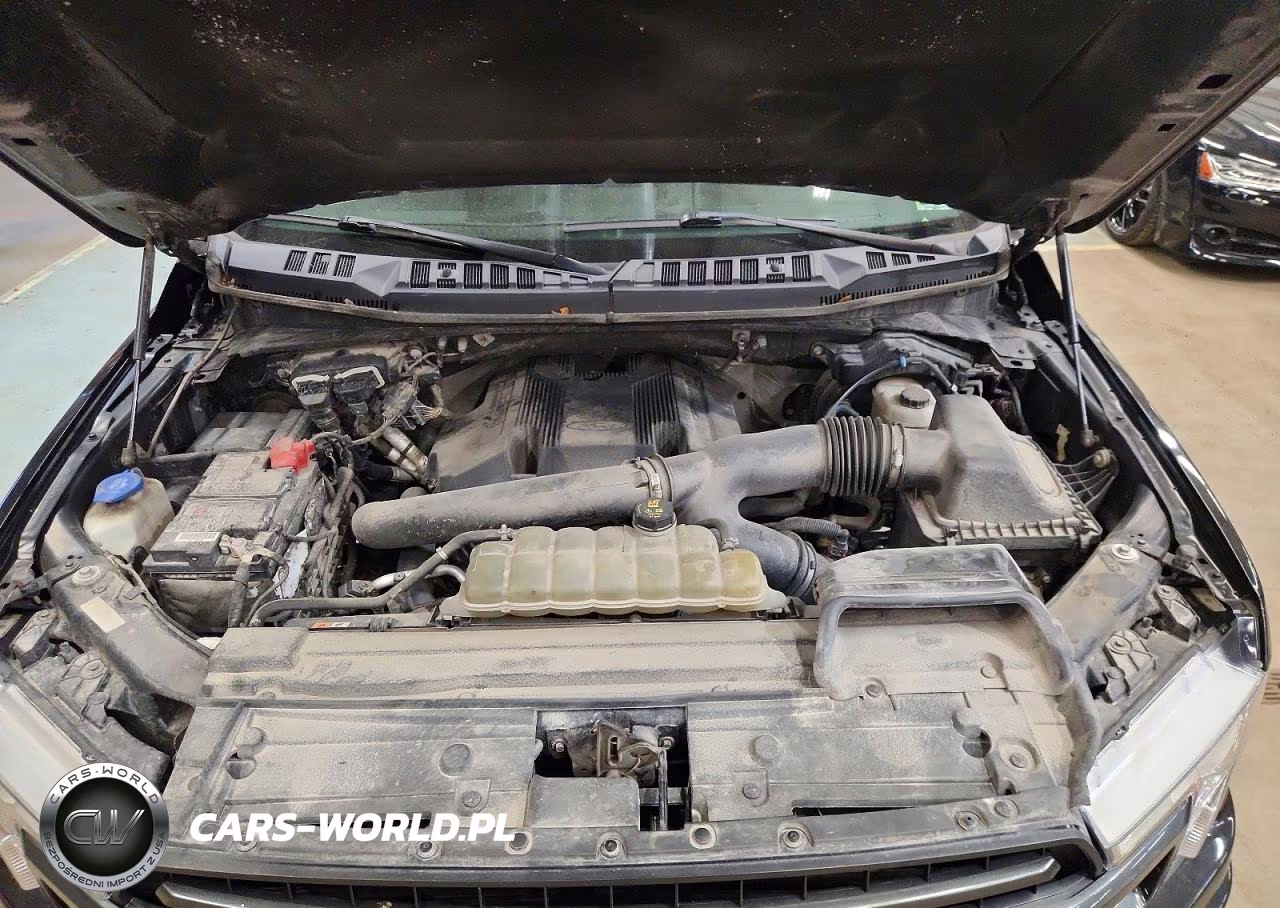 2019 Ford F150 Supercrew VIN:1FTEW1E41KFB99758 - 11