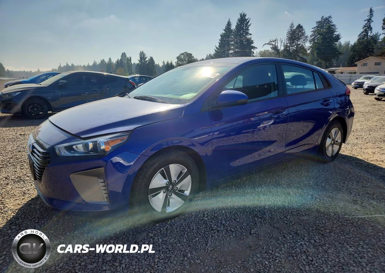 2019 Hyundai Ioniq Blue VIN:KMHC65LC0KU174172 - 1