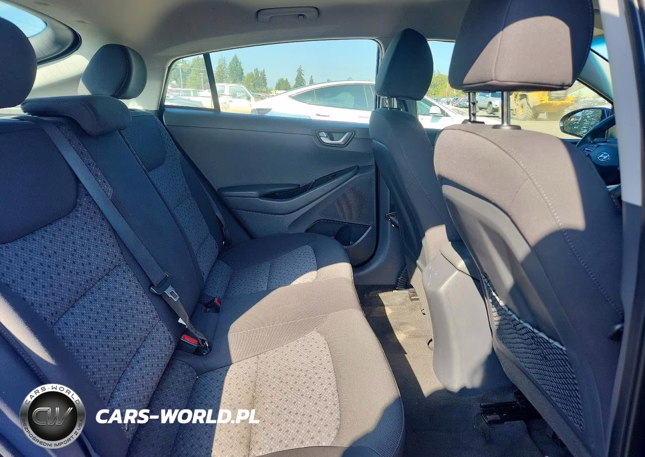 2019 Hyundai Ioniq Blue VIN:KMHC65LC0KU174172 - 10
