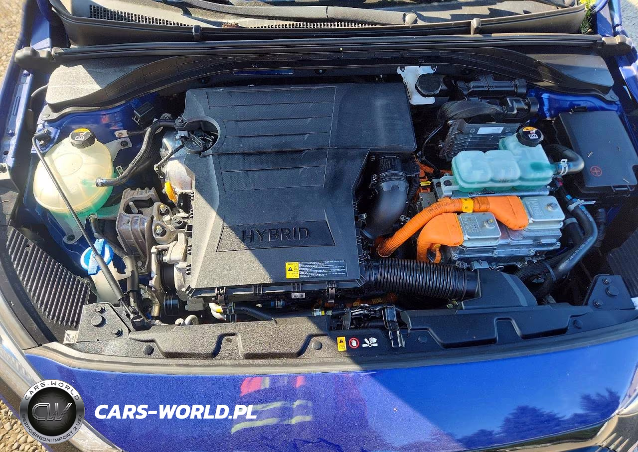 2019 Hyundai Ioniq Blue VIN:KMHC65LC0KU174172 - 11