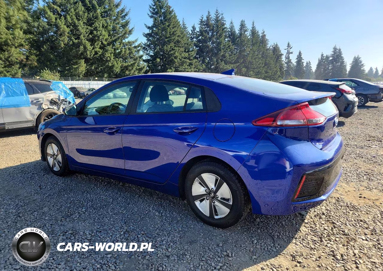 2019 Hyundai Ioniq Blue VIN:KMHC65LC0KU174172 - 2