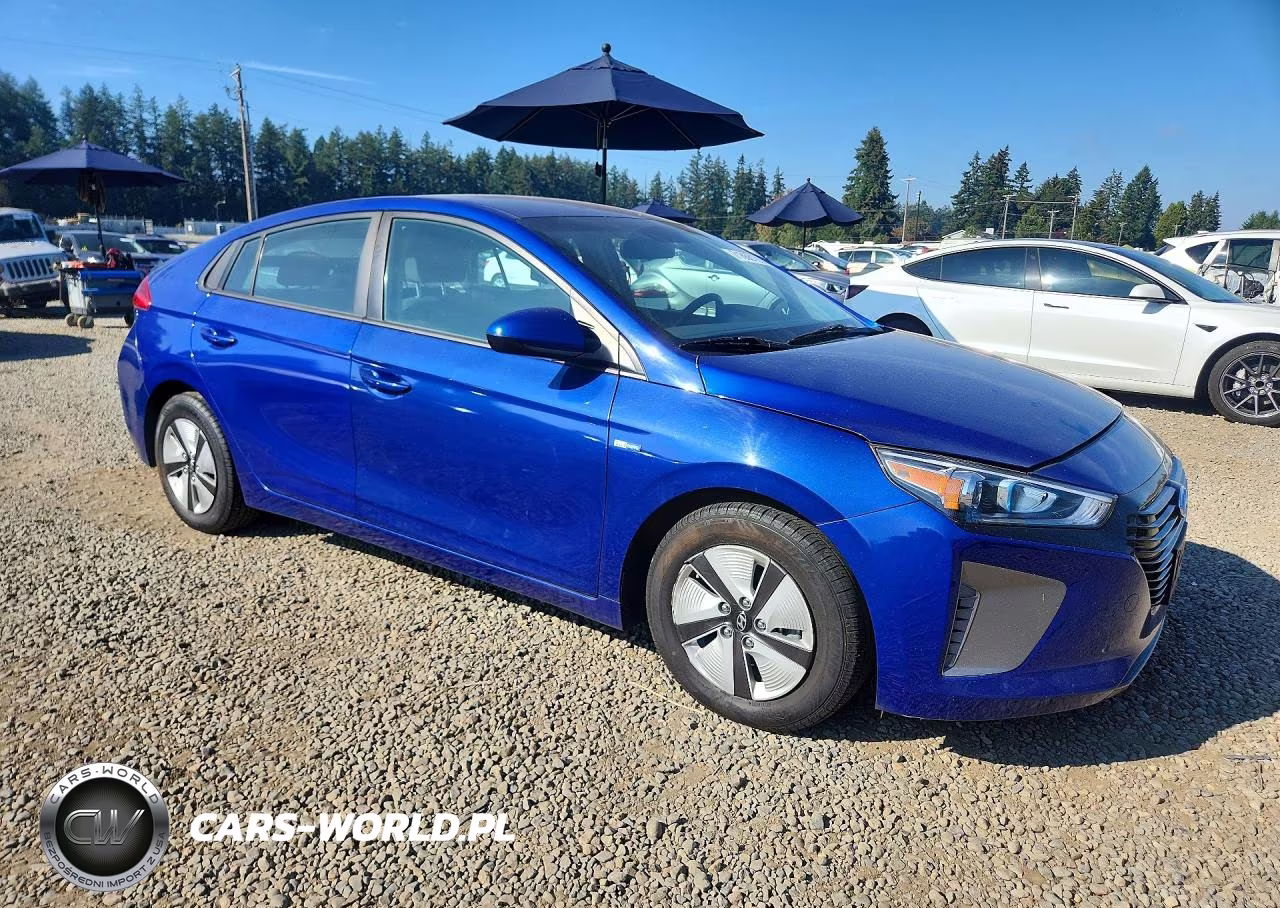 2019 Hyundai Ioniq Blue VIN:KMHC65LC0KU174172 - 4