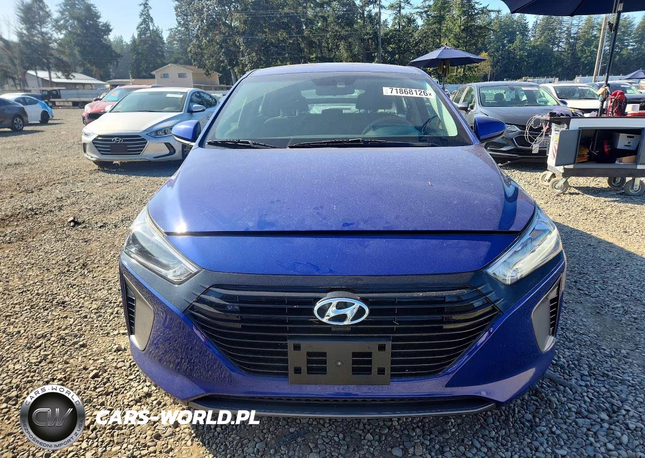 2019 Hyundai Ioniq Blue VIN:KMHC65LC0KU174172 - 5