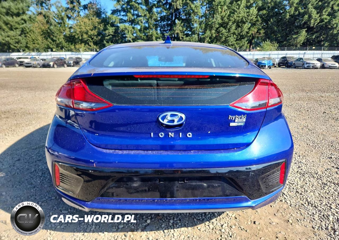 2019 Hyundai Ioniq Blue VIN:KMHC65LC0KU174172 - 6