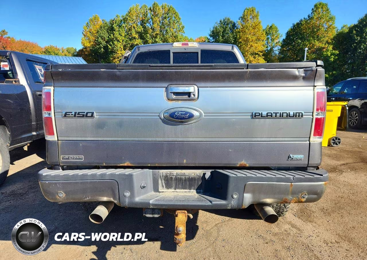2010 Ford F150 Supercrew VIN:1FTFW1EV8AFC84530 - 6