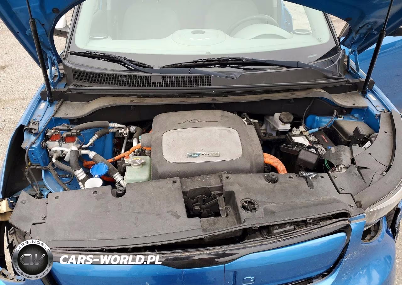 2016 Kia Soul Ev Base VIN:KNDJP3AE0G7016132 - 12