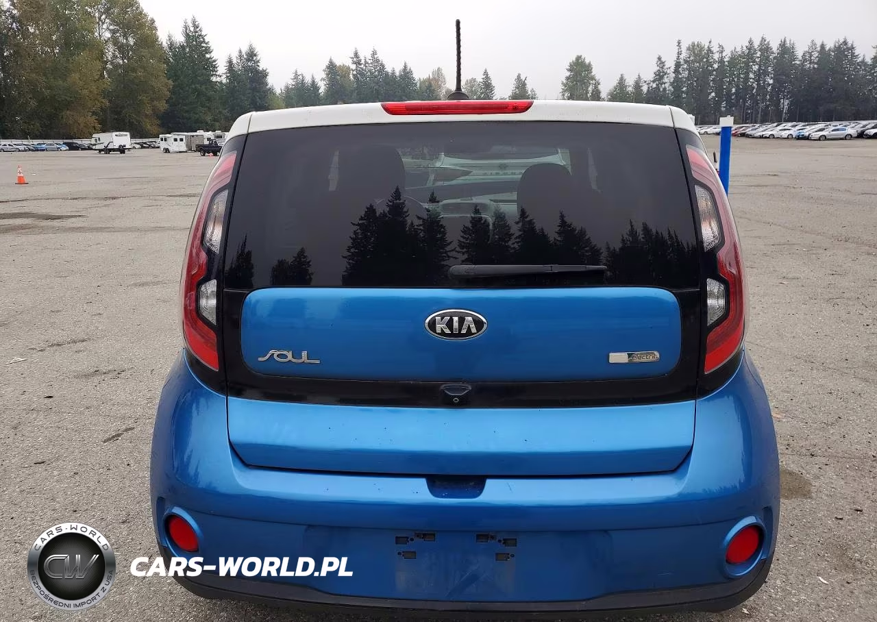 2016 Kia Soul Ev Base VIN:KNDJP3AE0G7016132 - 6