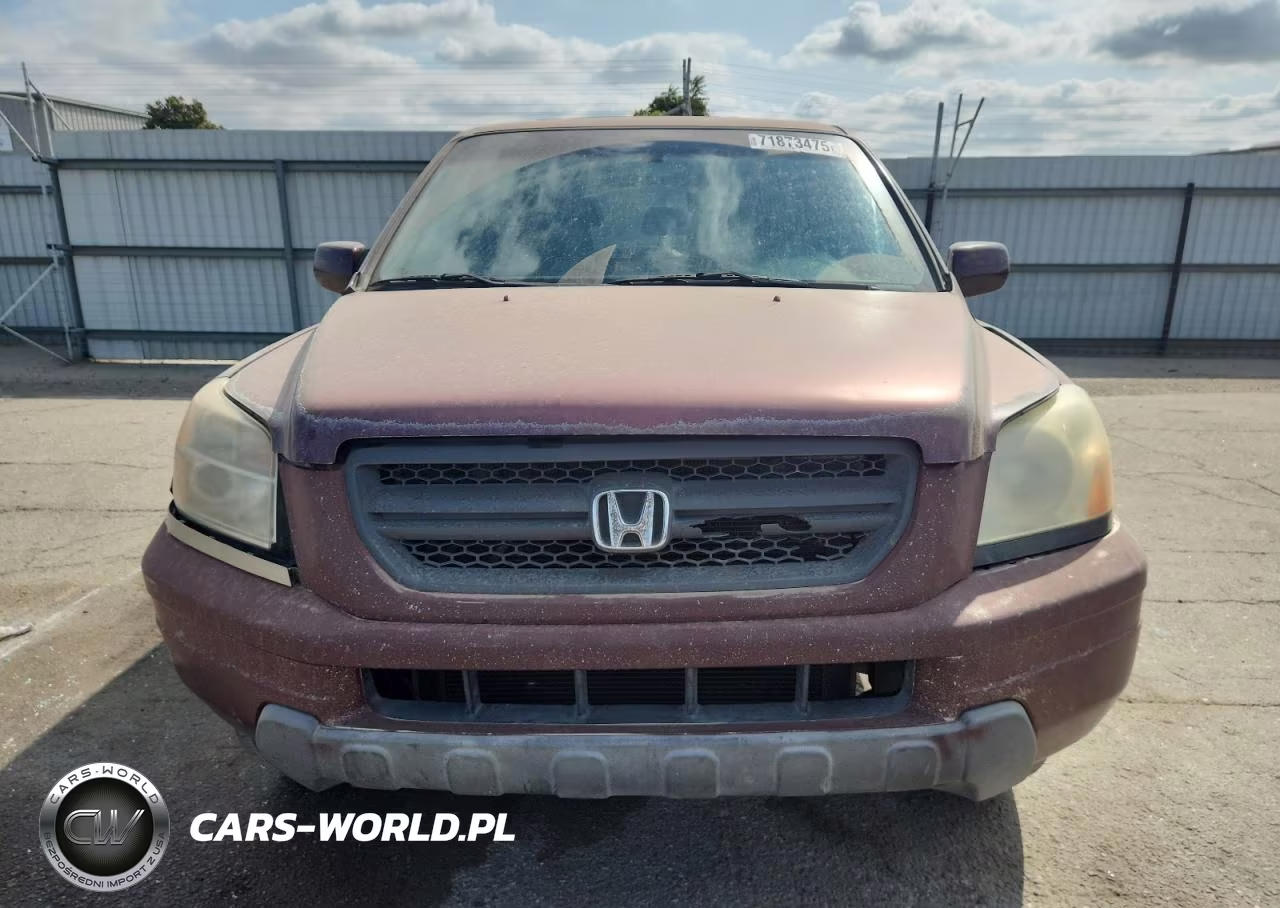 2007 Honda Pilot Exl VIN:5FNYF18527B029857 - 5
