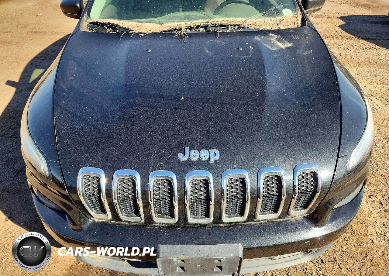 2016 Jeep Cherokee Sport VIN:1C4PJMAB3GW206360 - 11
