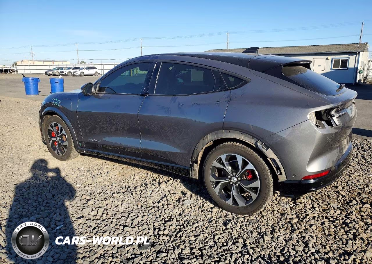 2021 Ford Mustang Mach-E Premium VIN:3FMTK3SU9MMA07620 - 2