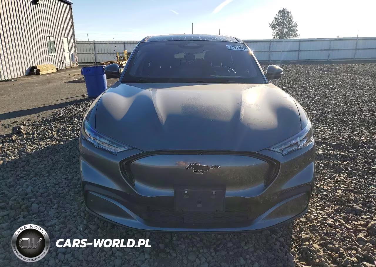 2021 Ford Mustang Mach-E Premium VIN:3FMTK3SU9MMA07620 - 5