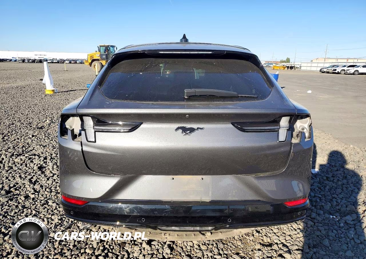 2021 Ford Mustang Mach-E Premium VIN:3FMTK3SU9MMA07620 - 6