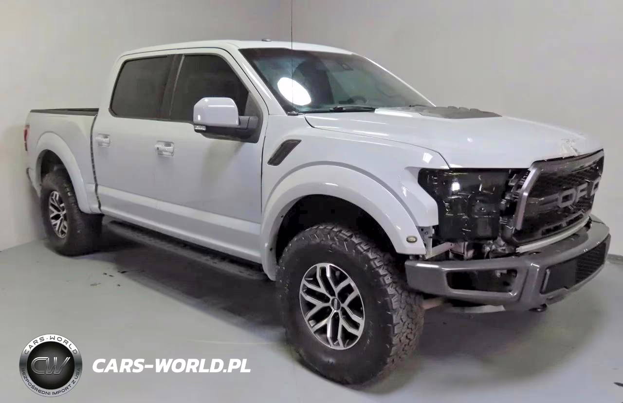 2017 Ford F150 Raptor VIN:1FTFW1RG9HFB22380 - 1