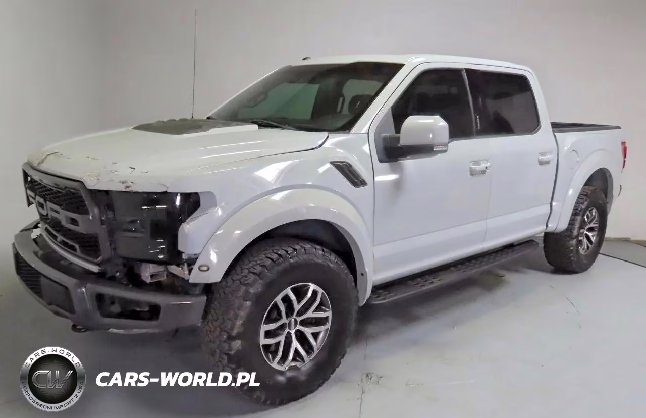 2017 Ford F150 Raptor VIN:1FTFW1RG9HFB22380 - 2