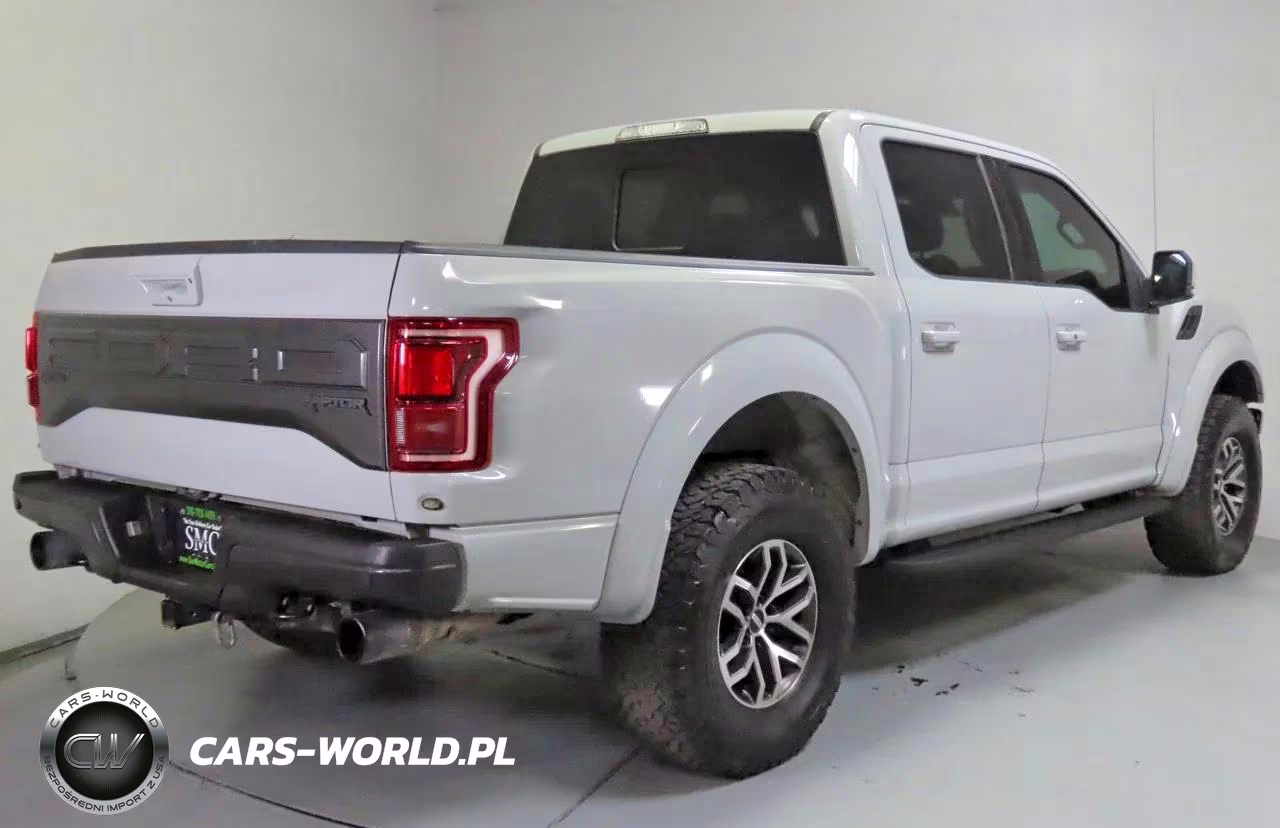 2017 Ford F150 Raptor VIN:1FTFW1RG9HFB22380 - 3