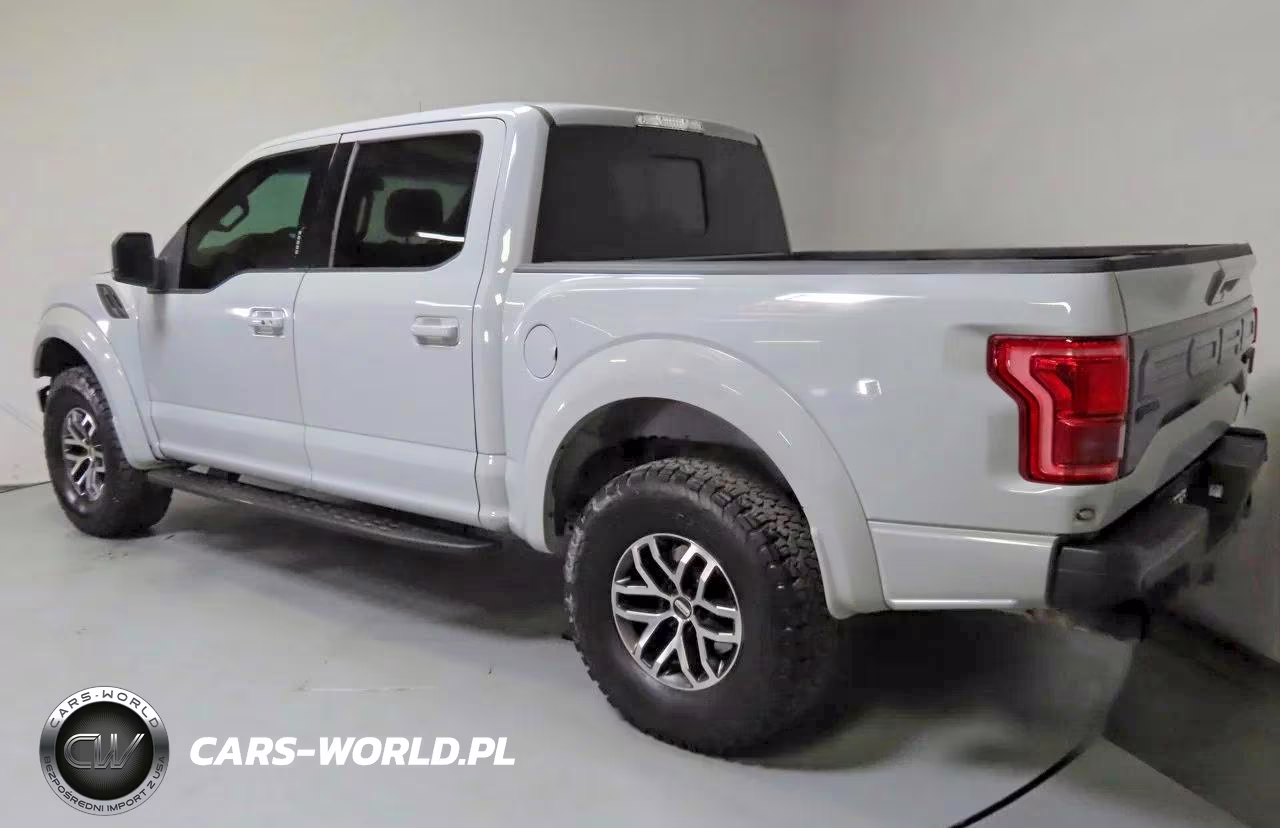 2017 Ford F150 Raptor VIN:1FTFW1RG9HFB22380 - 4