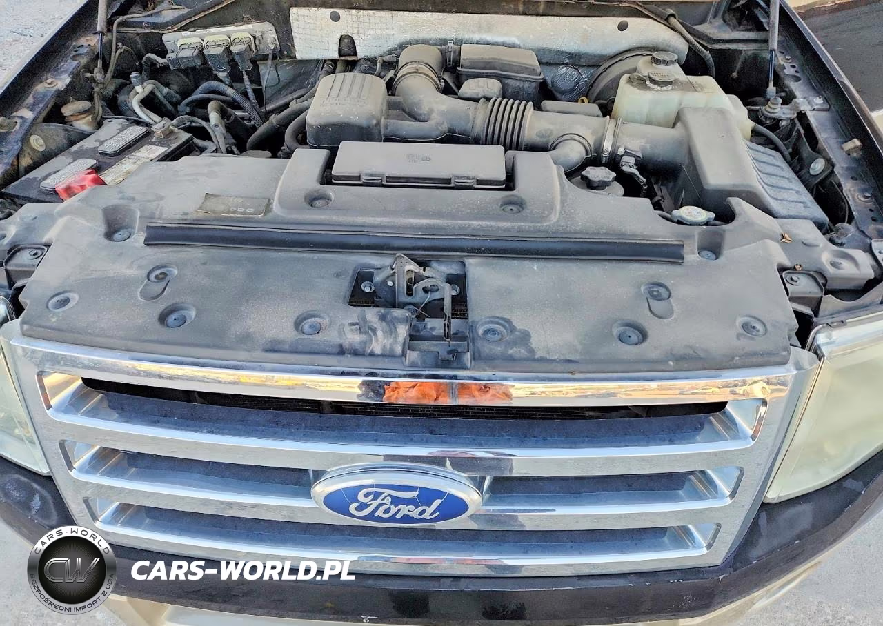 2009 Ford Expedition Eddie Bauer VIN:1FMFU18569EA71235 - 12