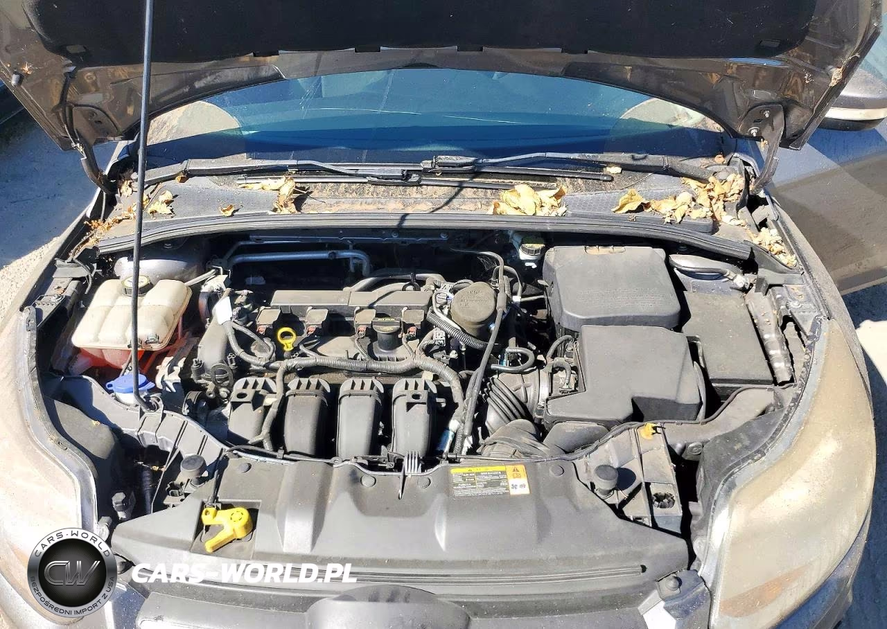 2014 Ford Focus Se VIN:1FADP3F20EL123851 - 11
