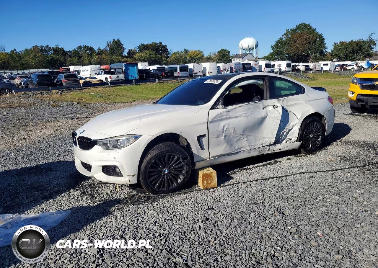 2016 BMW 428 Xi VIN:WBA3N9C55GK249500 - 1