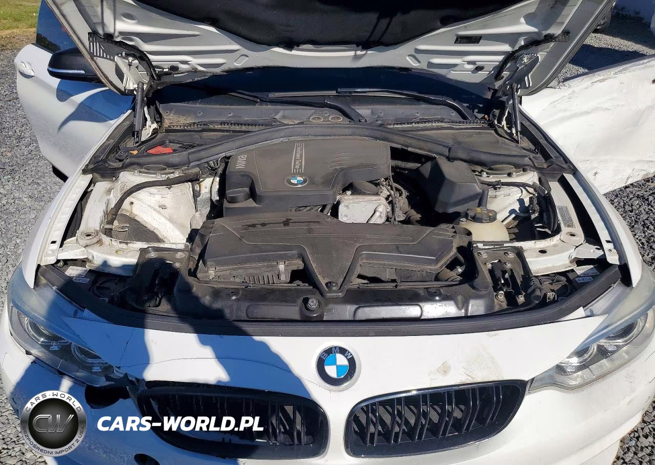 2016 BMW 428 Xi VIN:WBA3N9C55GK249500 - 11