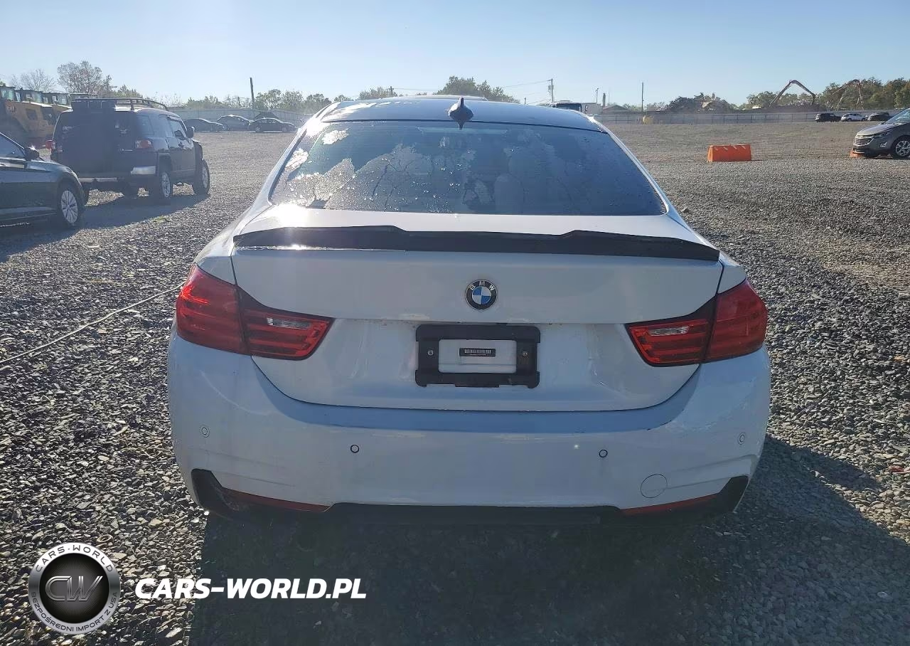 2016 BMW 428 Xi VIN:WBA3N9C55GK249500 - 6