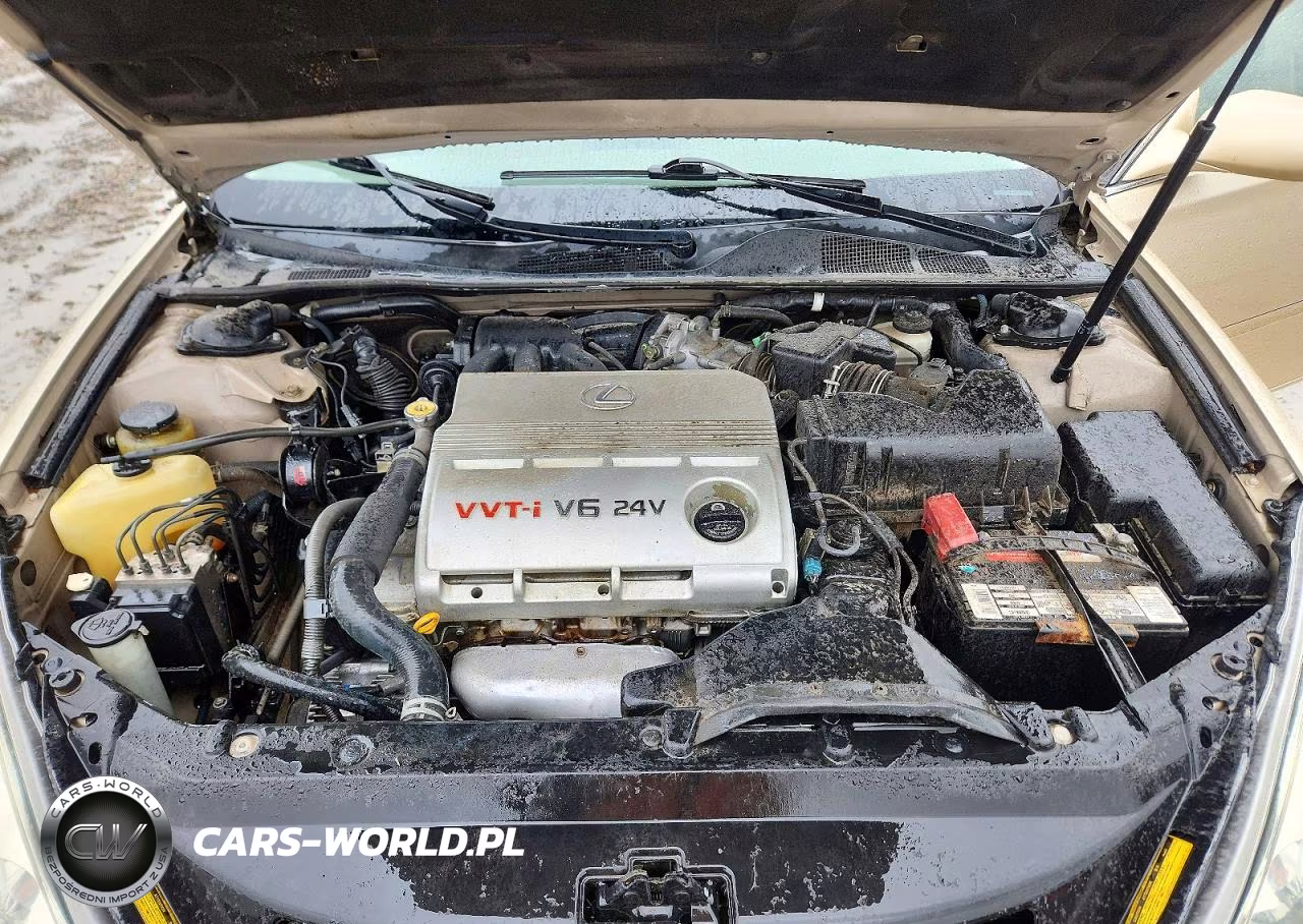 2003 Lexus Es 300 VIN:JTHBF30GX30138508 - 11