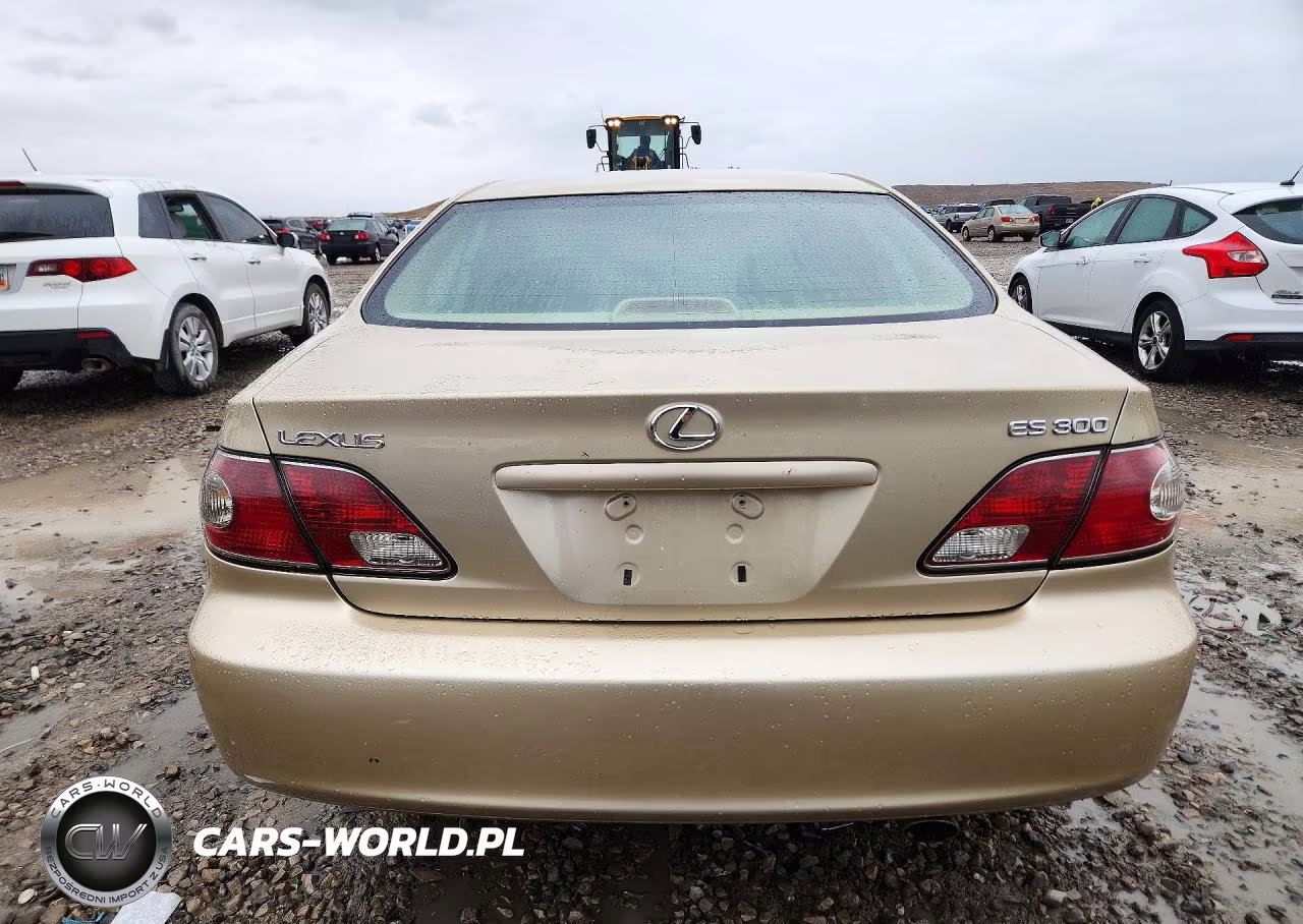 2003 Lexus Es 300 VIN:JTHBF30GX30138508 - 6