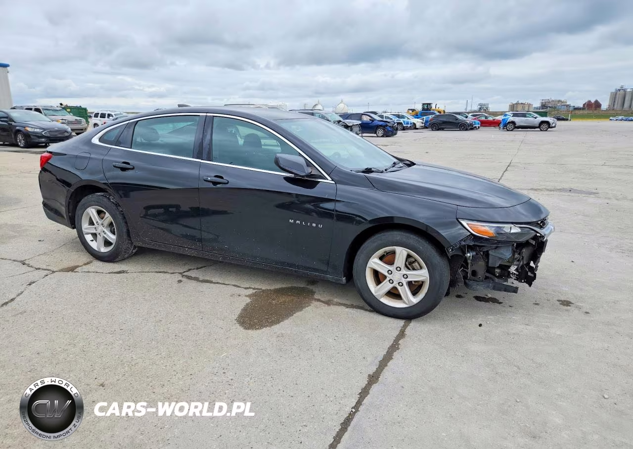 2020 Chevrolet Malibu Ls VIN:1G1ZC5ST1LF014602 - 4