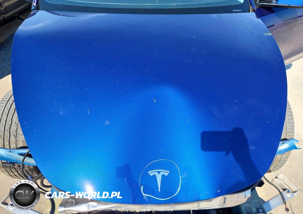 2021 Tesla Model Y VIN:5YJYGDEE3MF213249 - 11