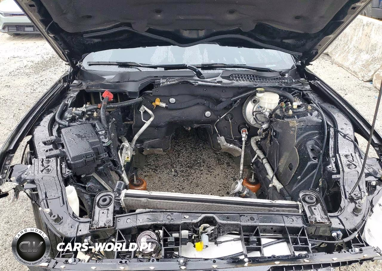 2020 Ford Mustang Gt VIN:1FA6P8CF0L5117823 - 11