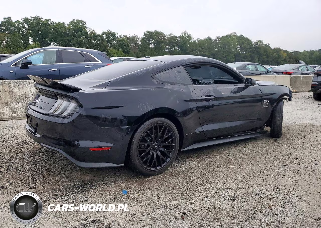 2020 Ford Mustang Gt VIN:1FA6P8CF0L5117823 - 3