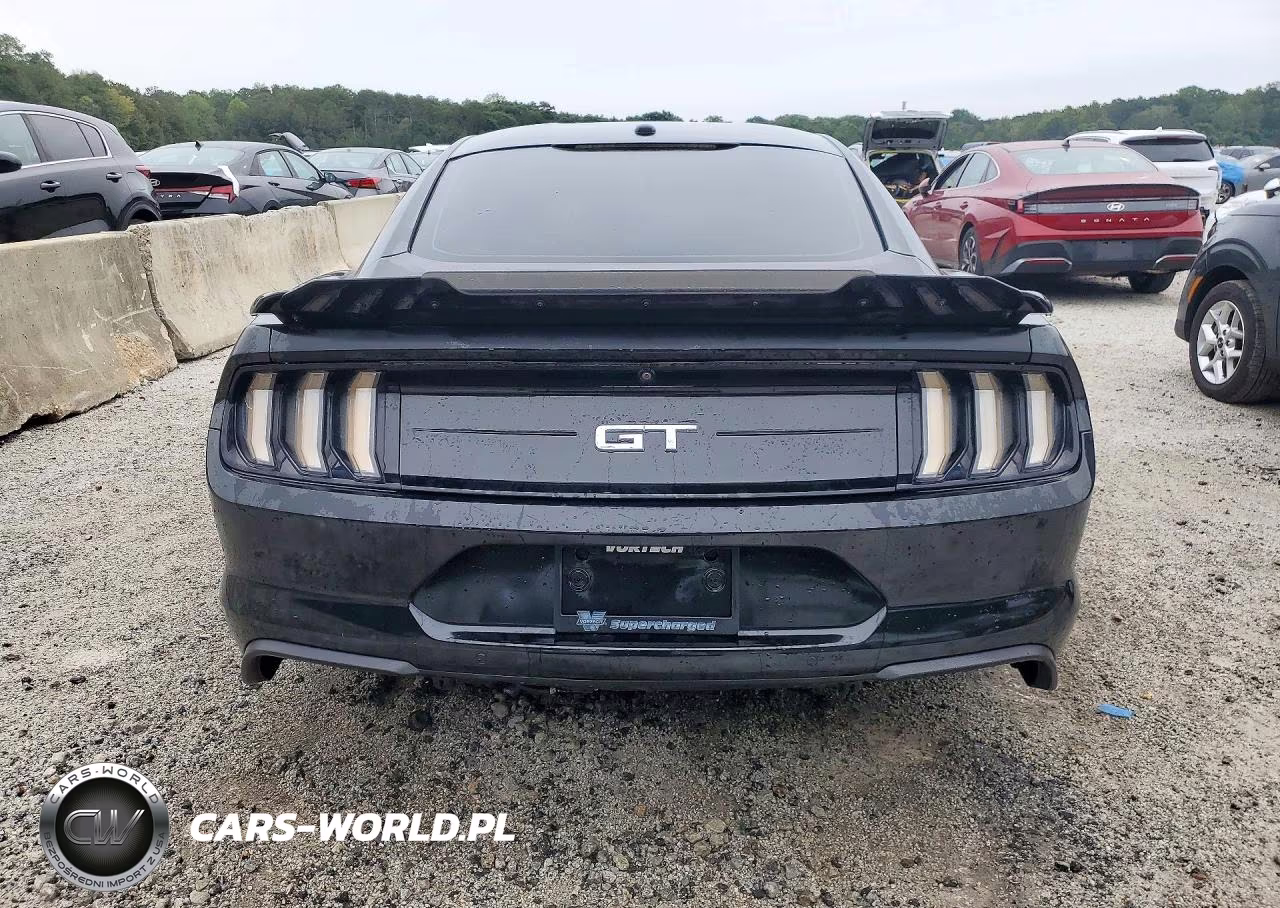 2020 Ford Mustang Gt VIN:1FA6P8CF0L5117823 - 6