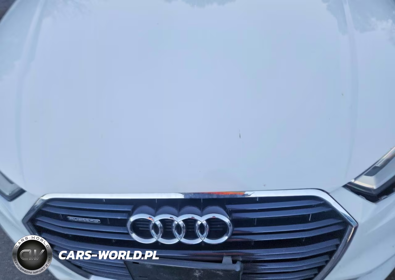2017 Audi A3 Premium Plus VIN:WAUJ8GFFXH1033642 - 11