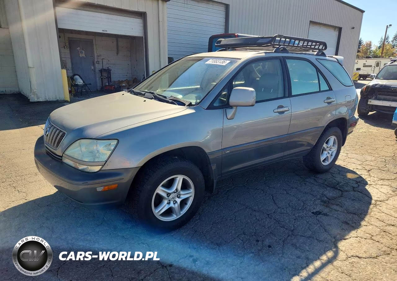 2002 Lexus Rx 300 VIN:JTJGF10U020125344 - 1