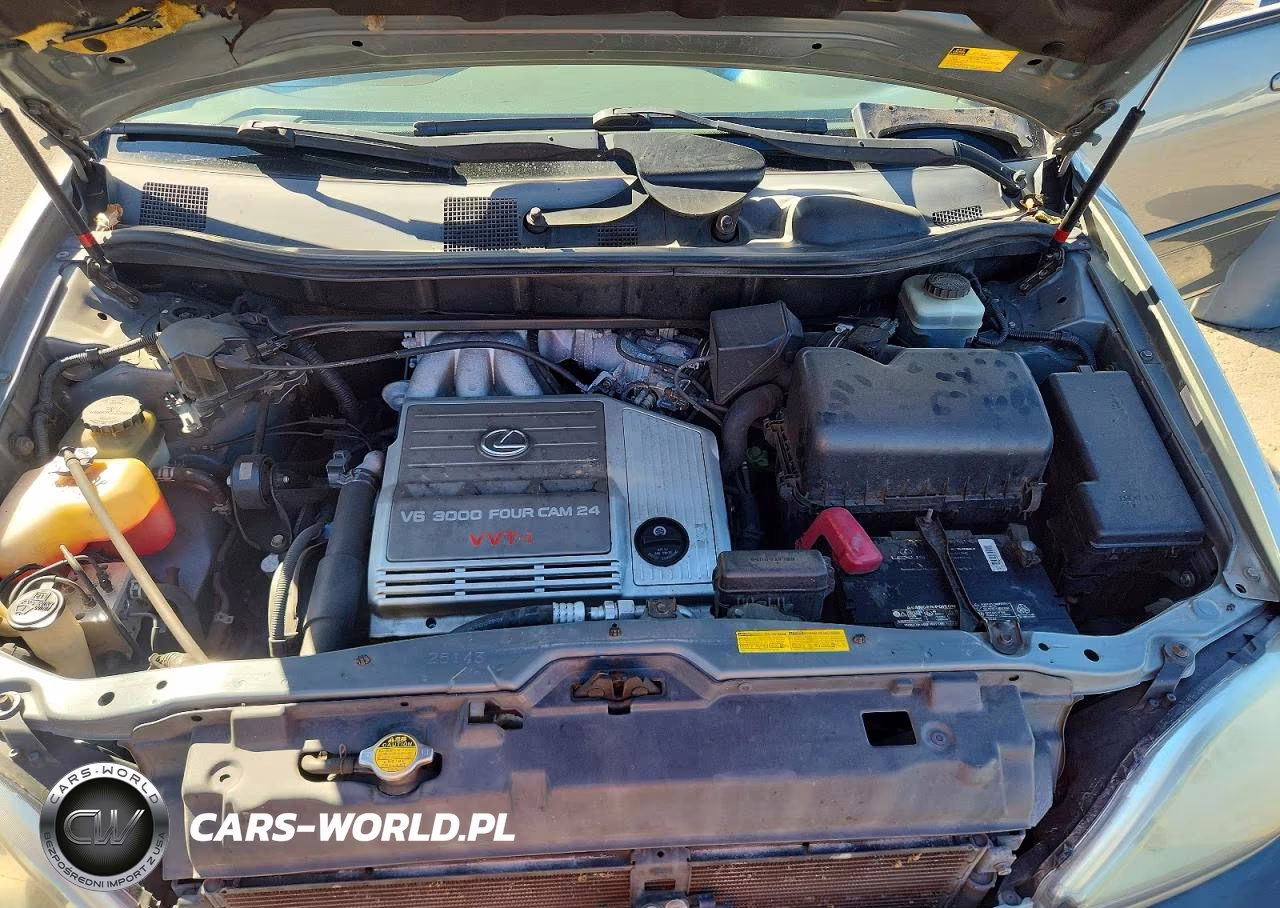 2002 Lexus Rx 300 VIN:JTJGF10U020125344 - 11