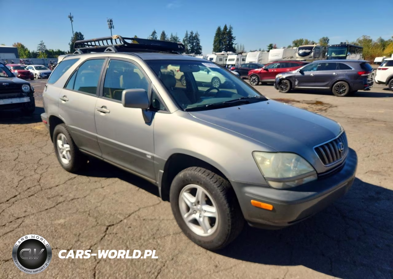 2002 Lexus Rx 300 VIN:JTJGF10U020125344 - 4