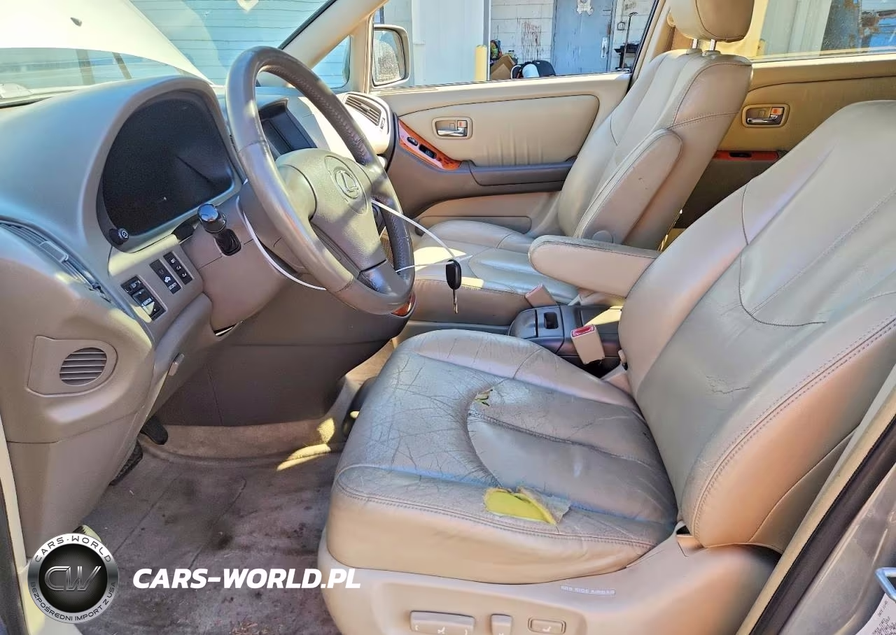 2002 Lexus Rx 300 VIN:JTJGF10U020125344 - 7