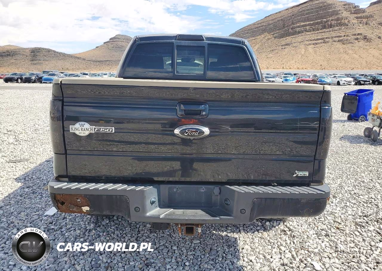 2010 Ford F150 Supercrew VIN:1FTFW1EV1AKB99469 - 6