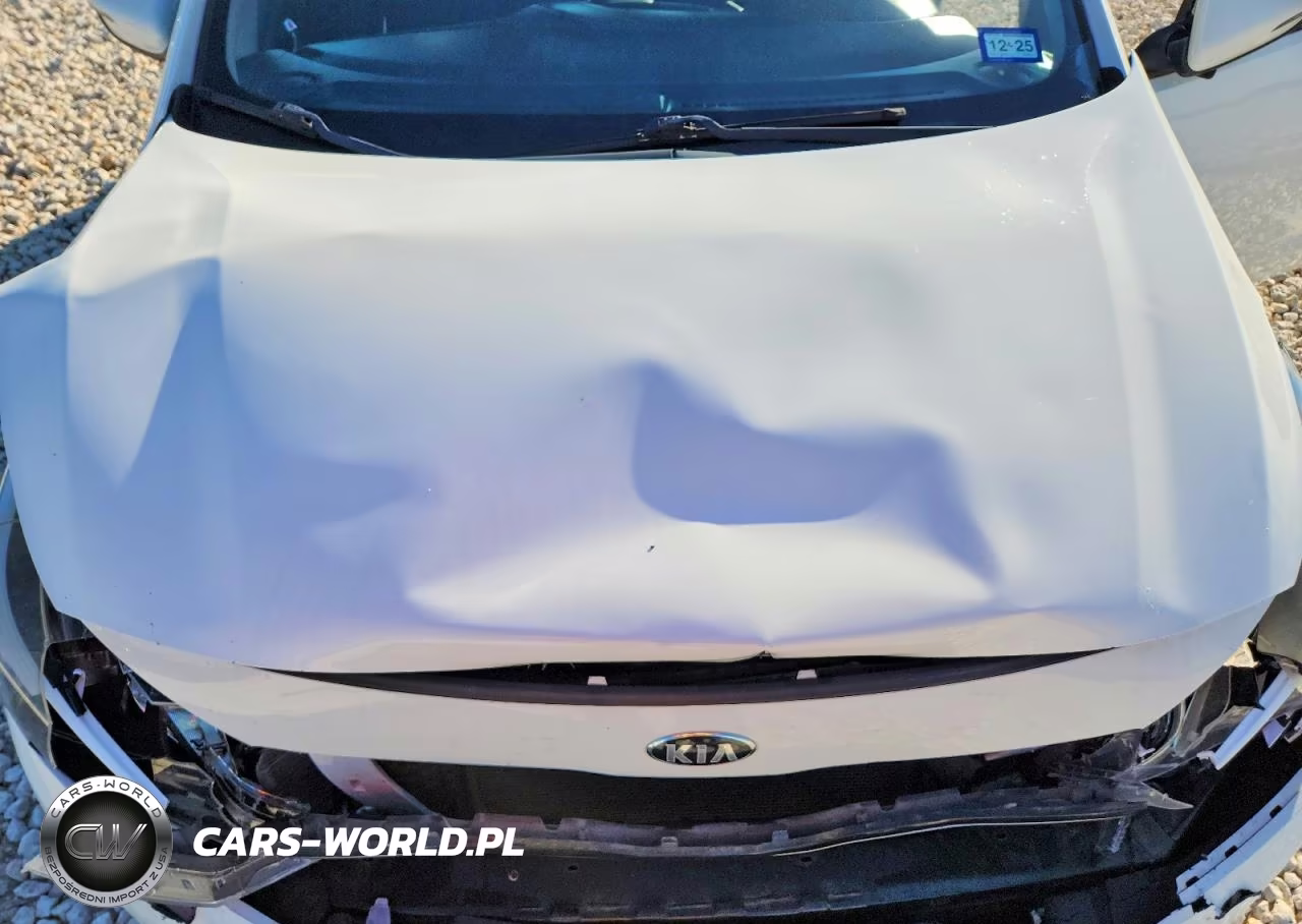 2017 Kia Forte5 Lx VIN:KNAFK5A89H5691417 - 11