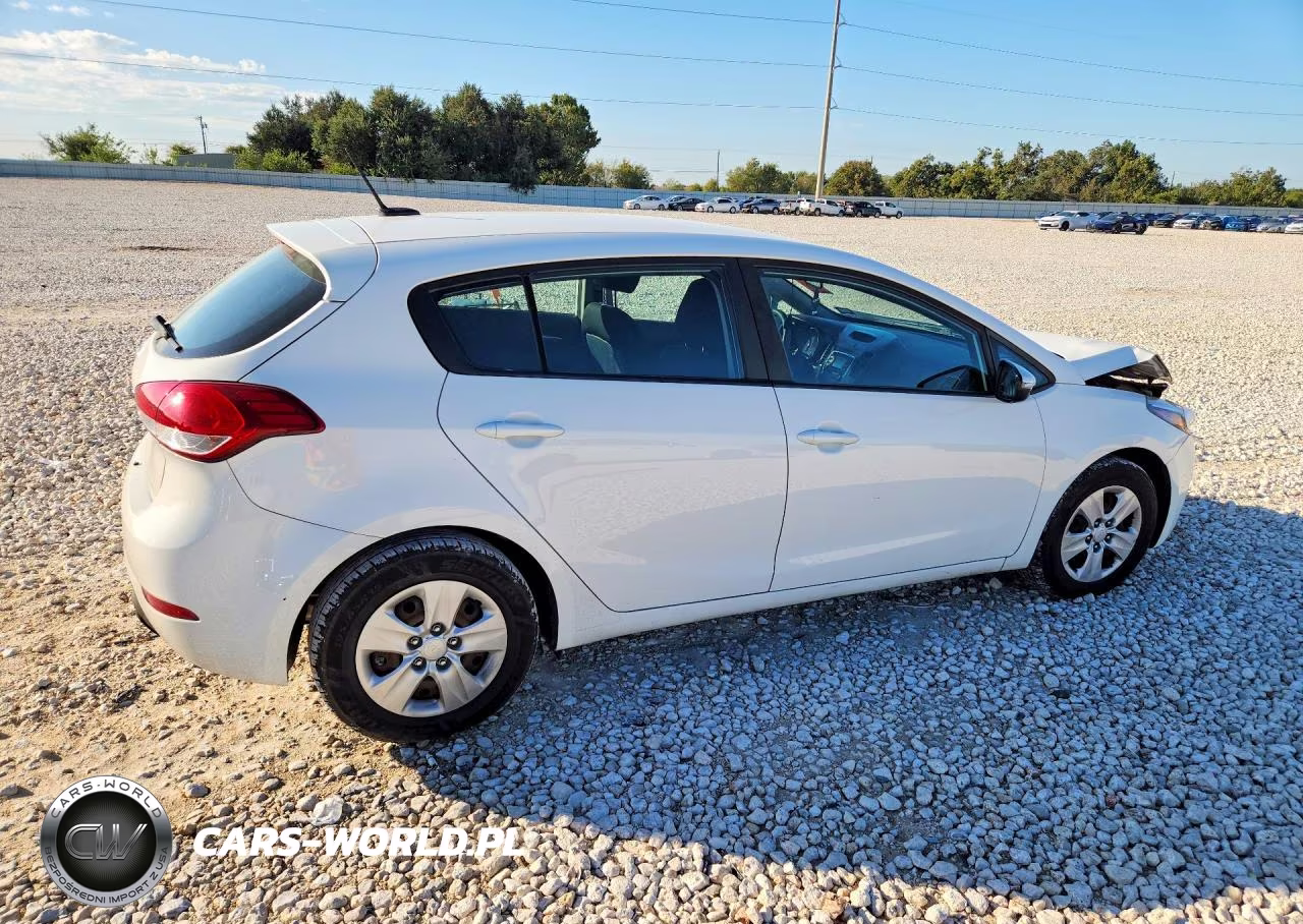 2017 Kia Forte5 Lx VIN:KNAFK5A89H5691417 - 3