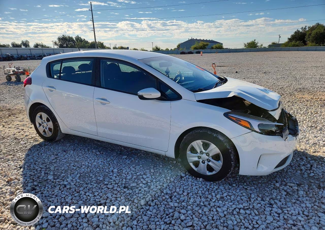 2017 Kia Forte5 Lx VIN:KNAFK5A89H5691417 - 4