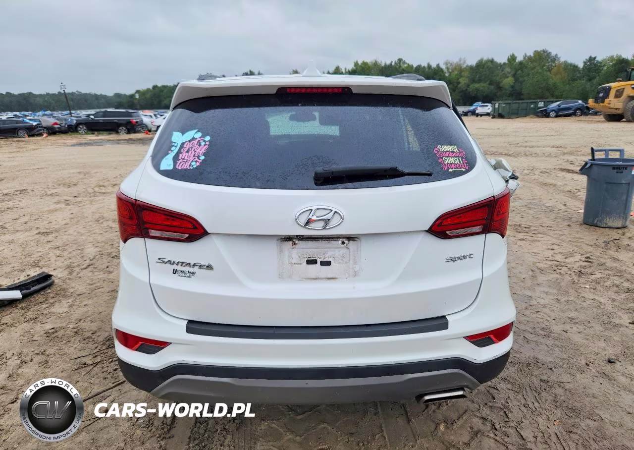 2018 Hyundai Santa Fe Sport 2.4L VIN:5XYZU3LB1JG519483 - 6