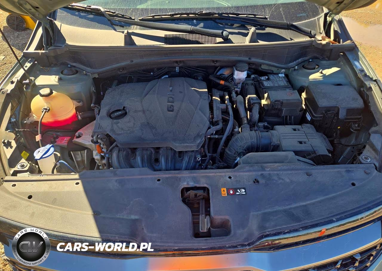 2023 Kia Sportage X Line VIN:5XYK6CAF9PG049021 - 11
