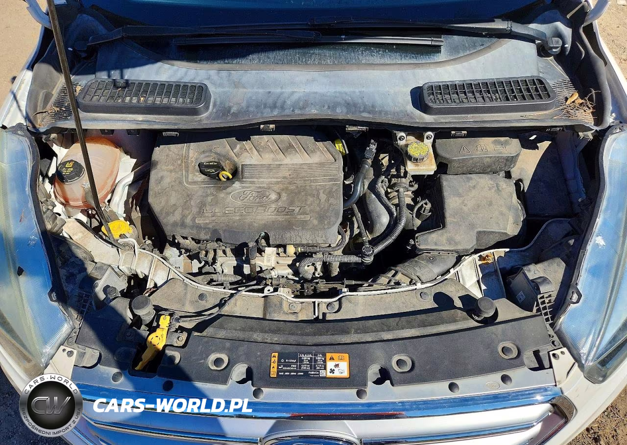 2017 Ford Escape Se VIN:1FMCU0GD2HUC43447 - 12