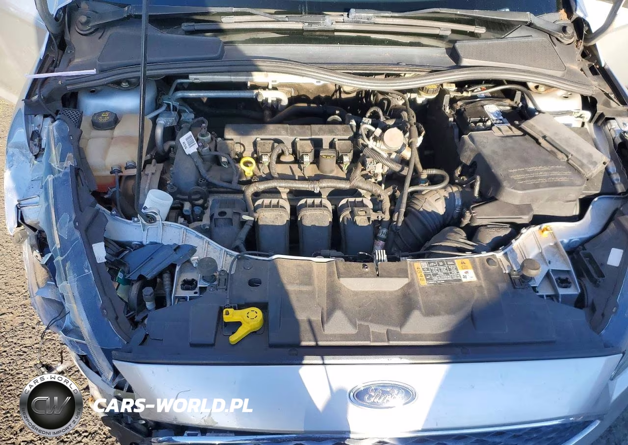 2016 Ford Focus Se VIN:1FADP3K22GL313062 - 12