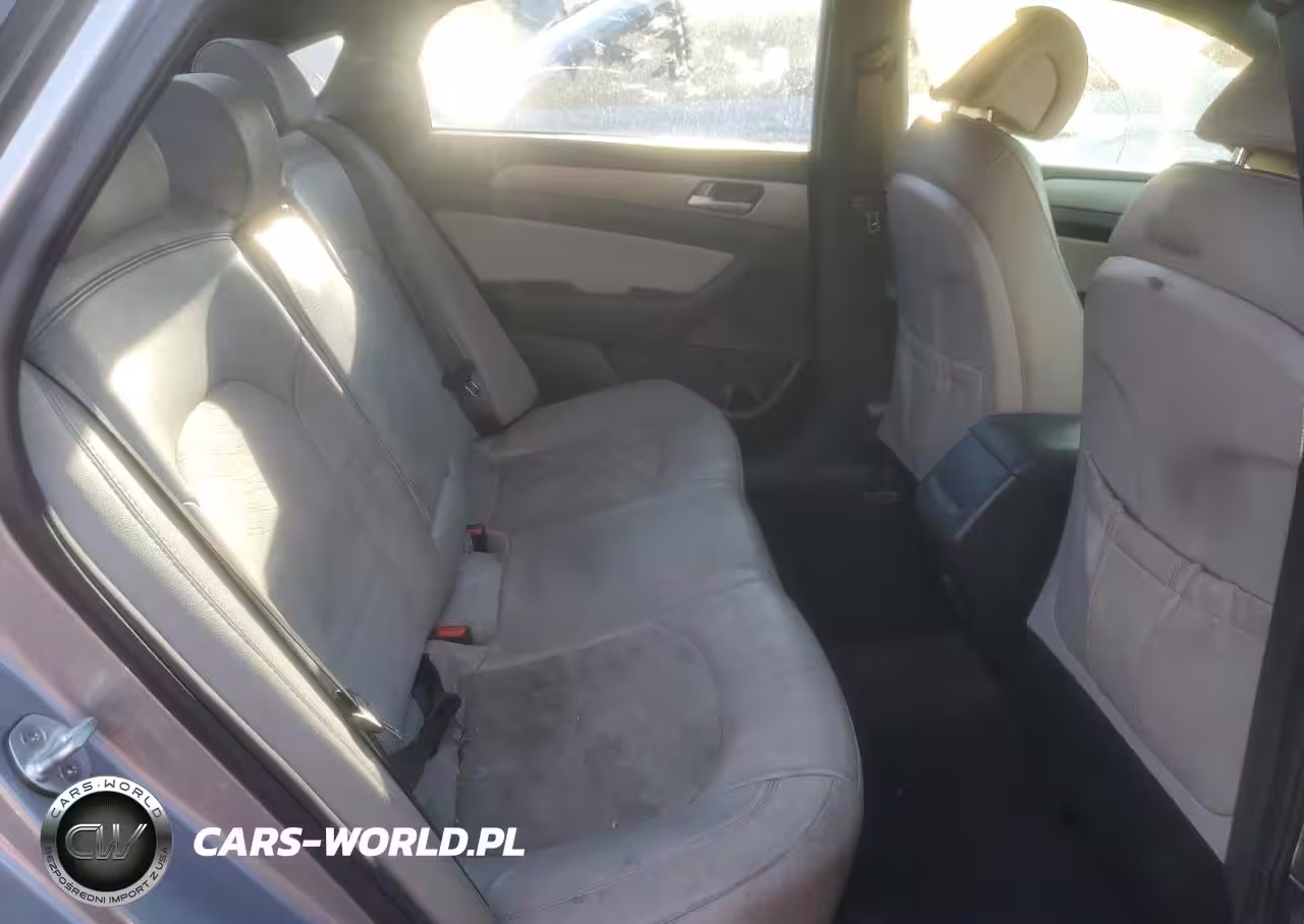 2017 Hyundai Sonata Sport VIN:5NPE34AB9HH501018 - 10