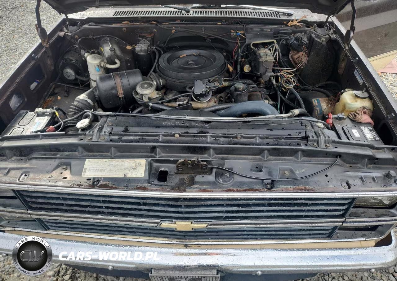 1984 Chevrolet C10 VIN:2GCDC14C2E1149864 - 11