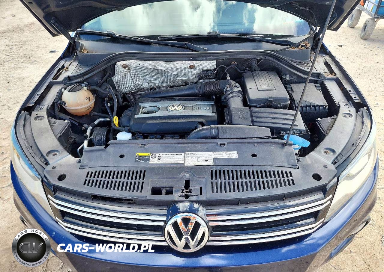 2016 Volkswagen Tiguan S VIN:WVGAV7AX6GW561591 - 12