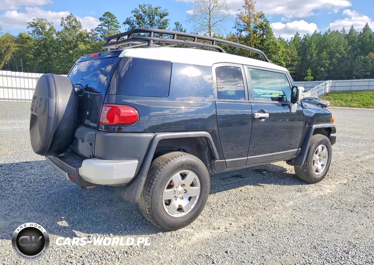 2009 Toyota Fj Cruiser Base VIN:JTEBU11F69K058519 - 3