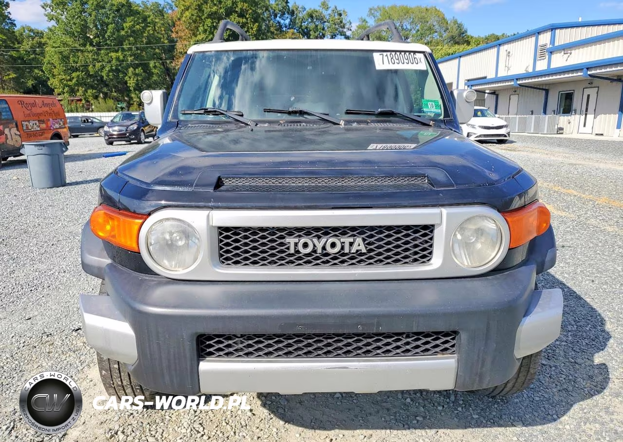 2009 Toyota Fj Cruiser Base VIN:JTEBU11F69K058519 - 5